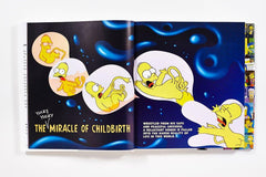 Abrams & Chronicle - Book, The Simpsons : Family History (EN)