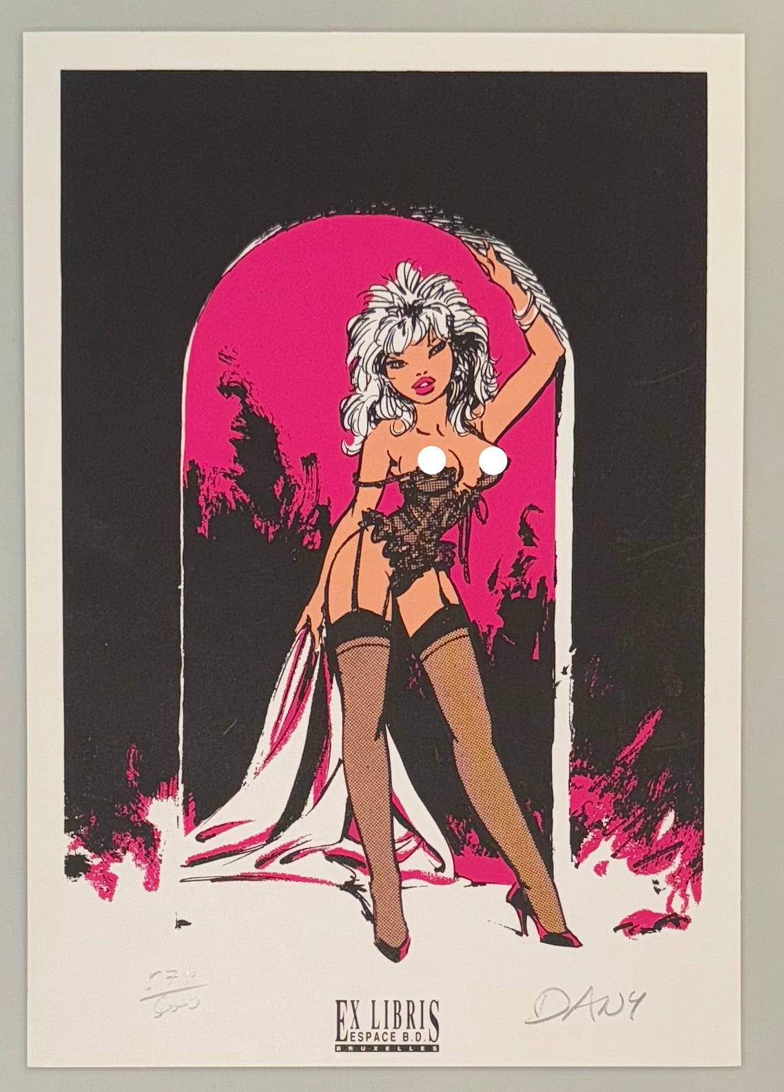 COMICS Ex-libris : Ca vous intéresse ? - Pin Up Résilles (Dany) / 600 ex + signed