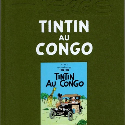 Tintin / Kuifje - Albums (FR/NL)