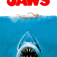 Jaws