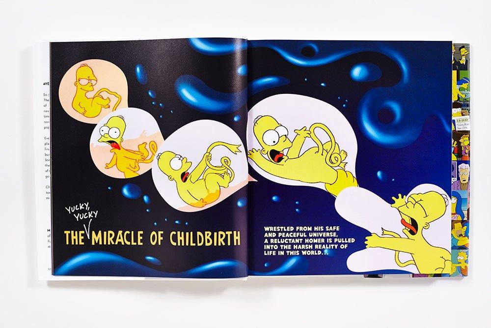 Abrams & Chronicle - Book, The Simpsons : Family History (EN)