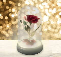 Lamp - Disney Beauty & The Beast Enchanted Rose Light