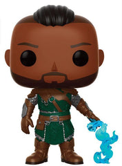 Funko Pop! Games - The Elder Scrolls Online Morrowind Warden (220) Figurines